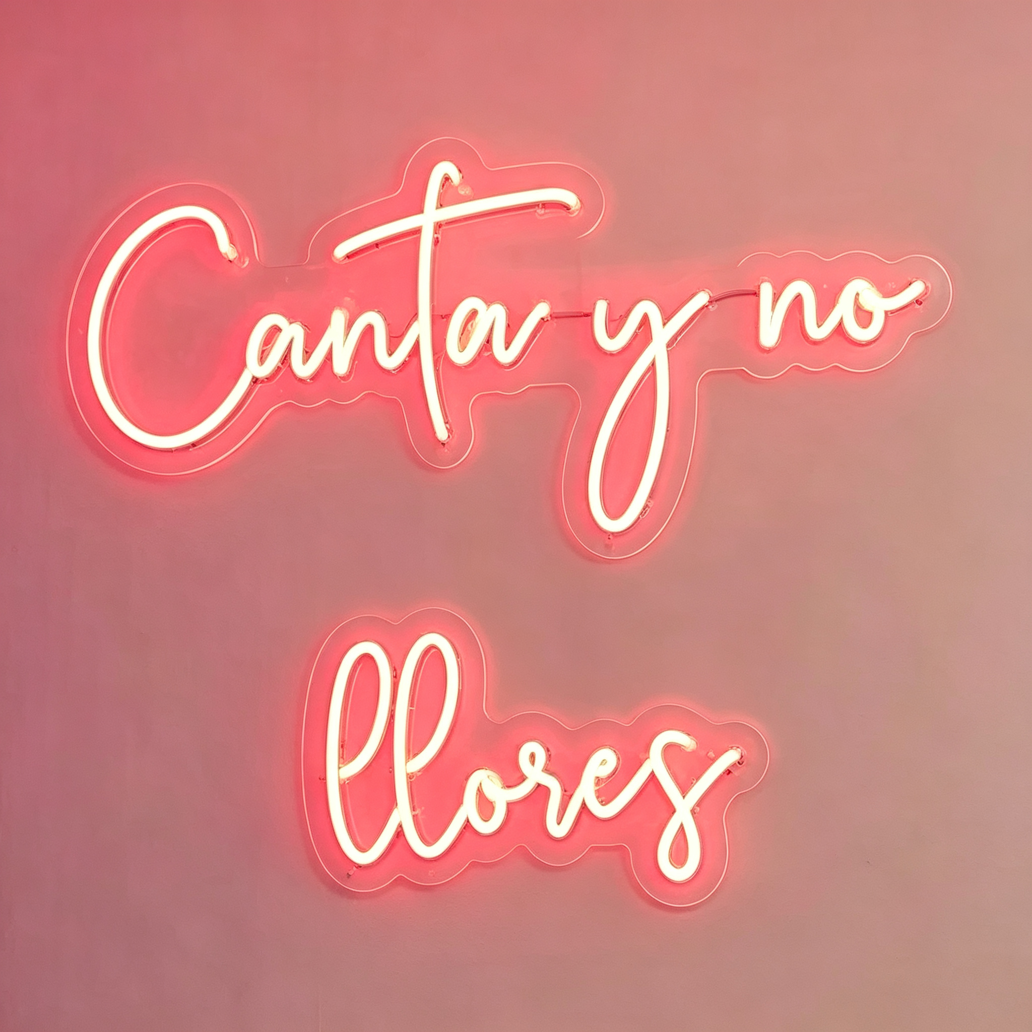 Canta Y No Llores Neon Sign