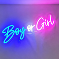Boy Or Girl LED Neon Sign
