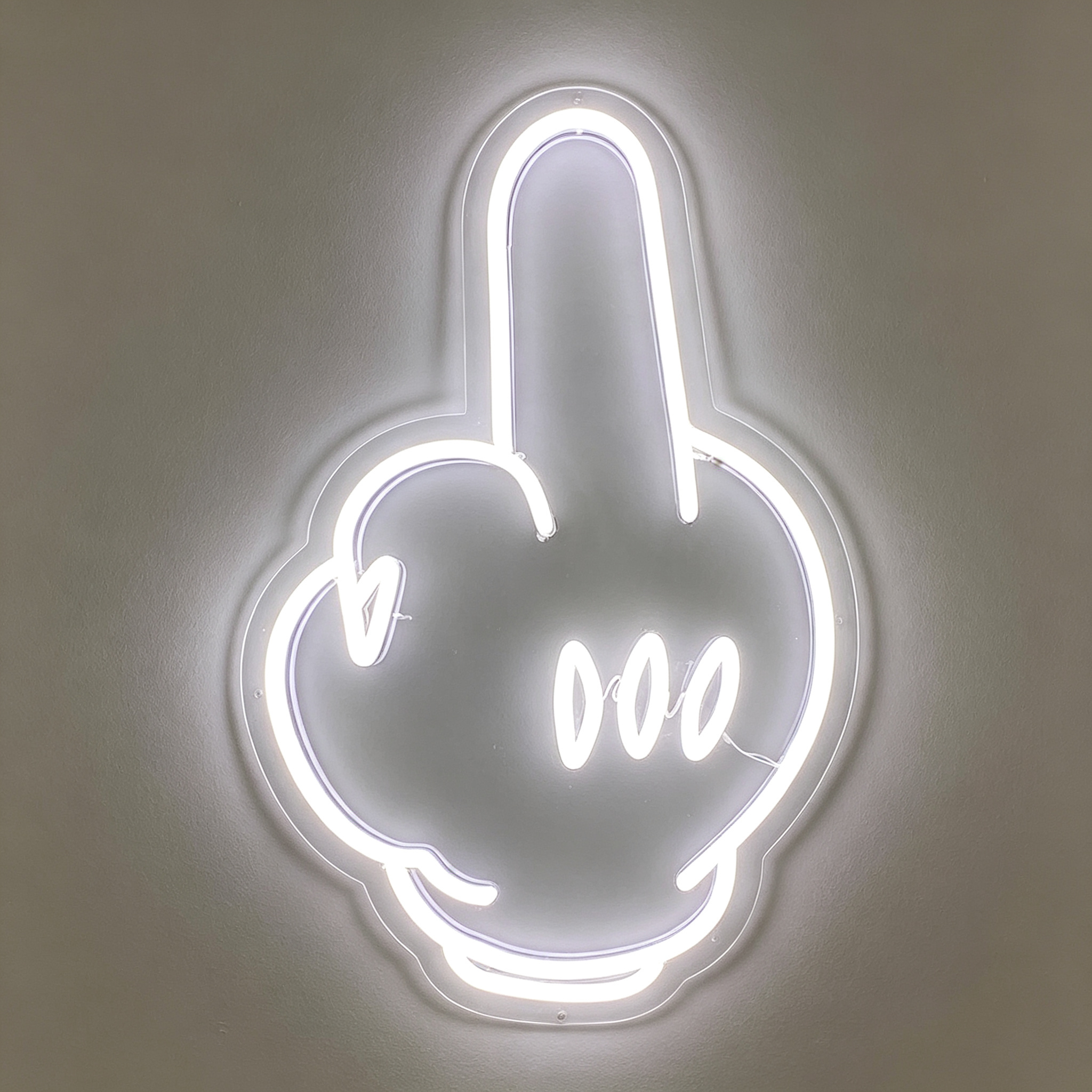 Middle Finger Hand Gesture Neon Sign
