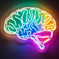 Rainbow Gradient Human Brain Anatomy LED Neon Sign