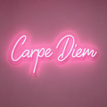 Carpe Diem Neon Sign