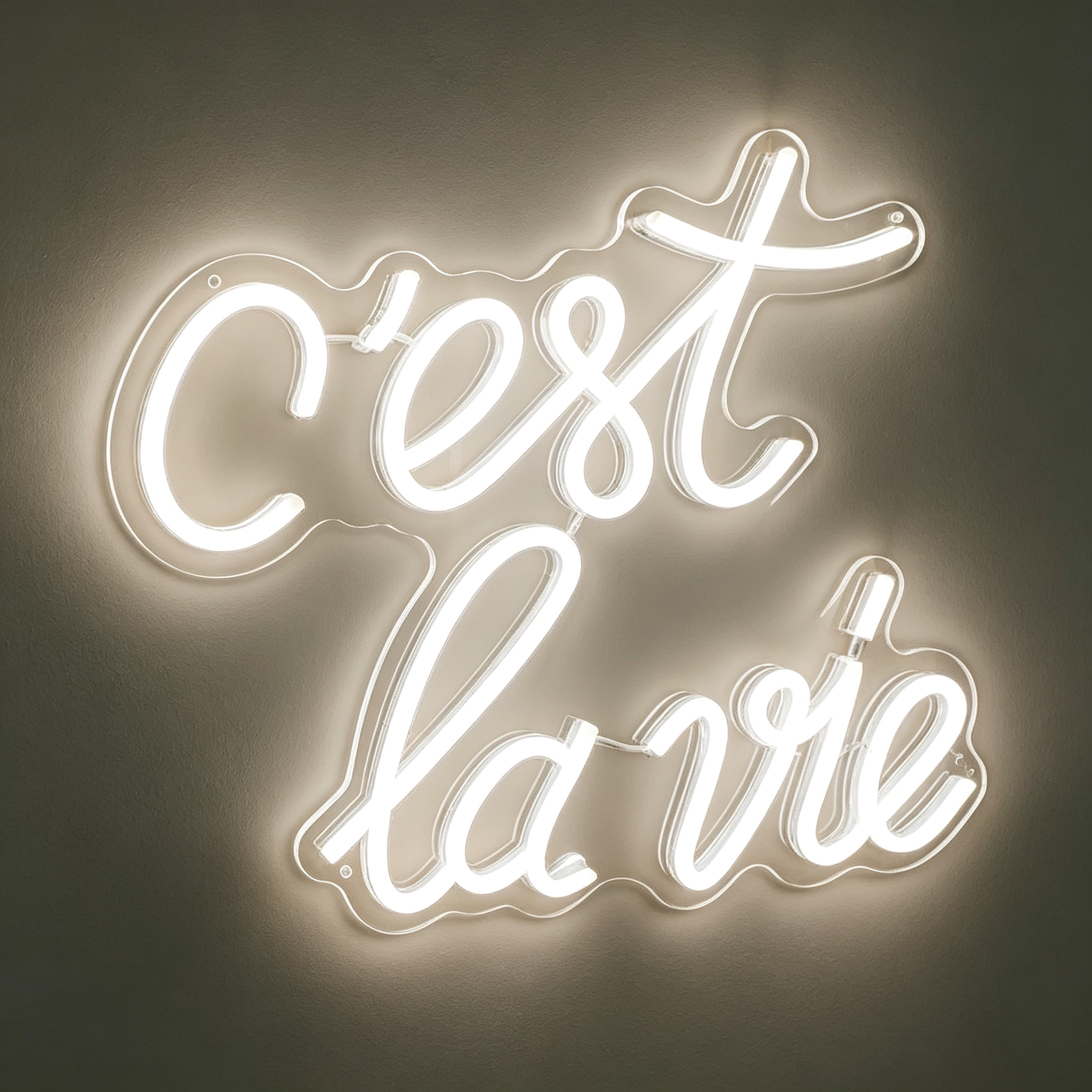 C'est La Vie Neon Sign