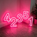 Custom Freestanding Pink Number LED Neon Signs