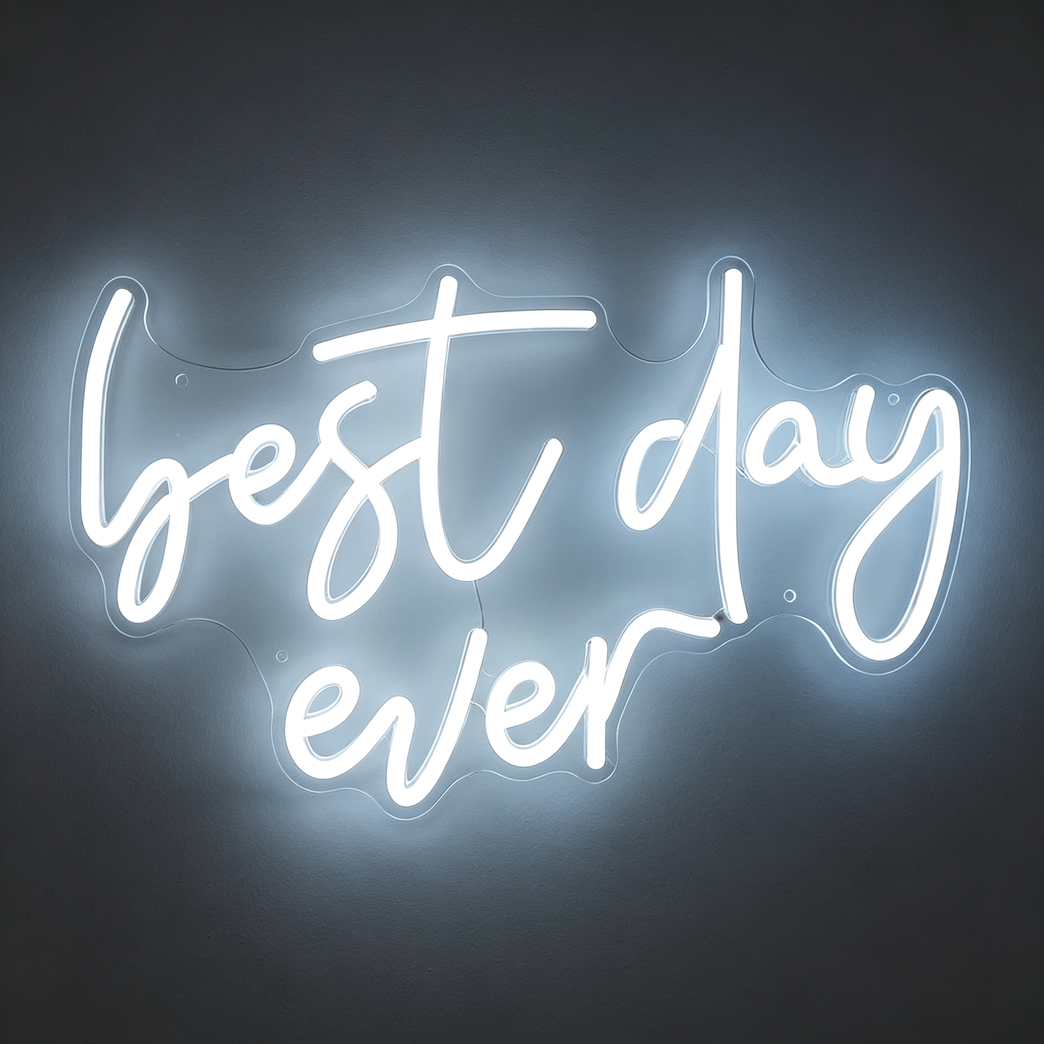 Best Day Ever LED Neon Sign