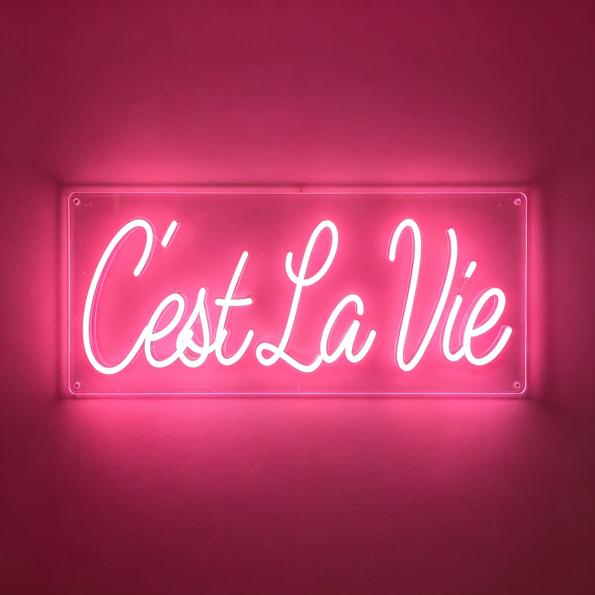 C'est La Vie Neon Sign