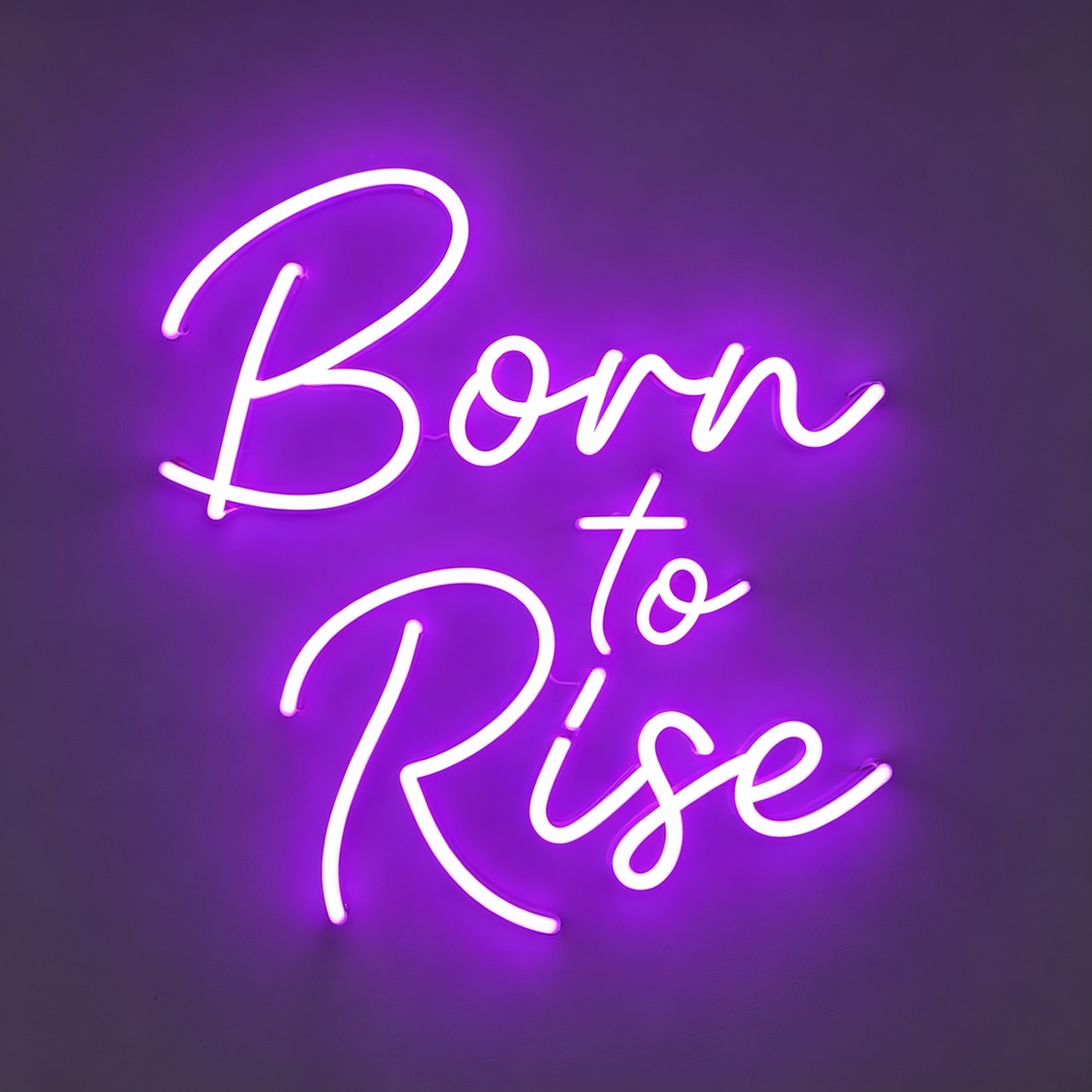 Born To Rise LED Neon Sign