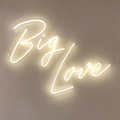 Big Love LED Neon Sign