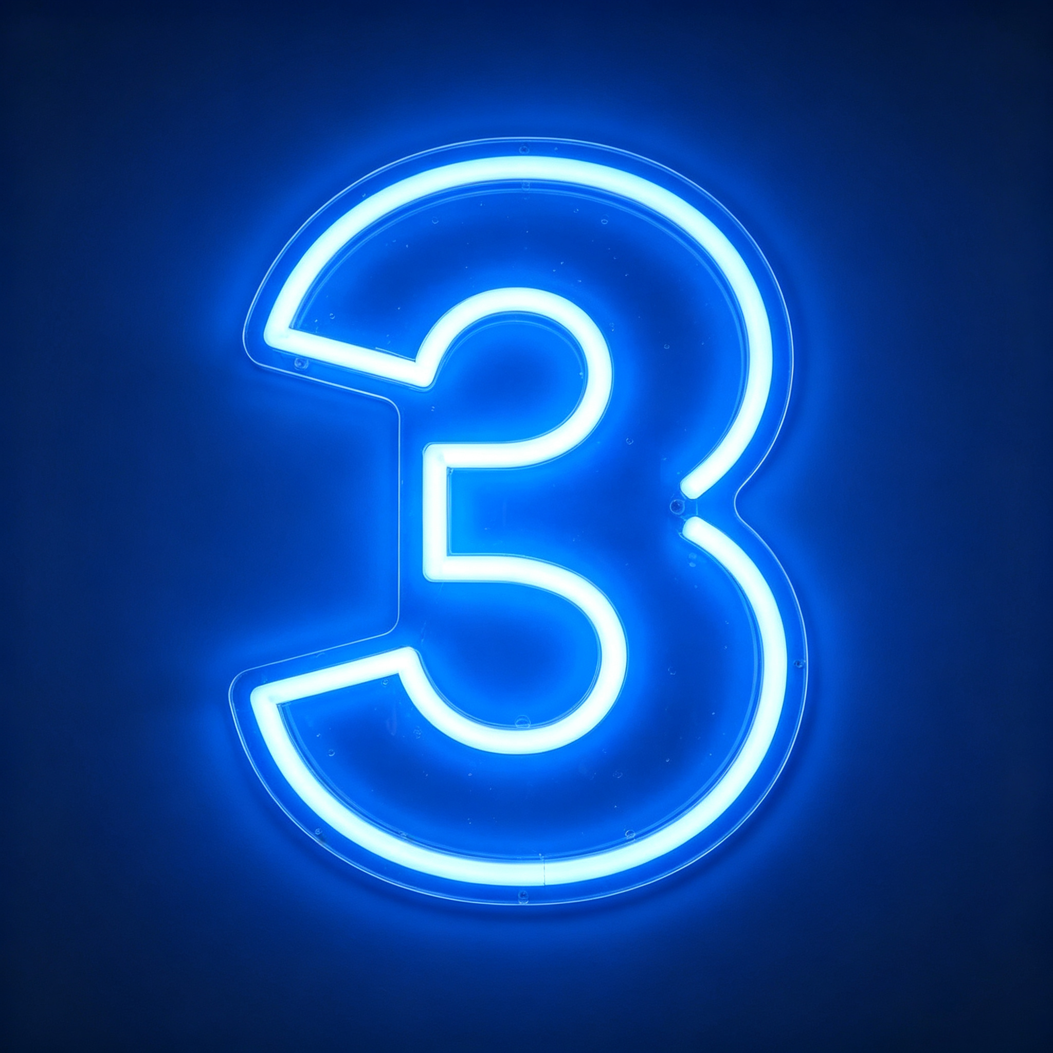 3 LED Neon Sign
