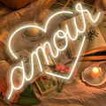 Amour Heart Shaped LED Neon Sign
