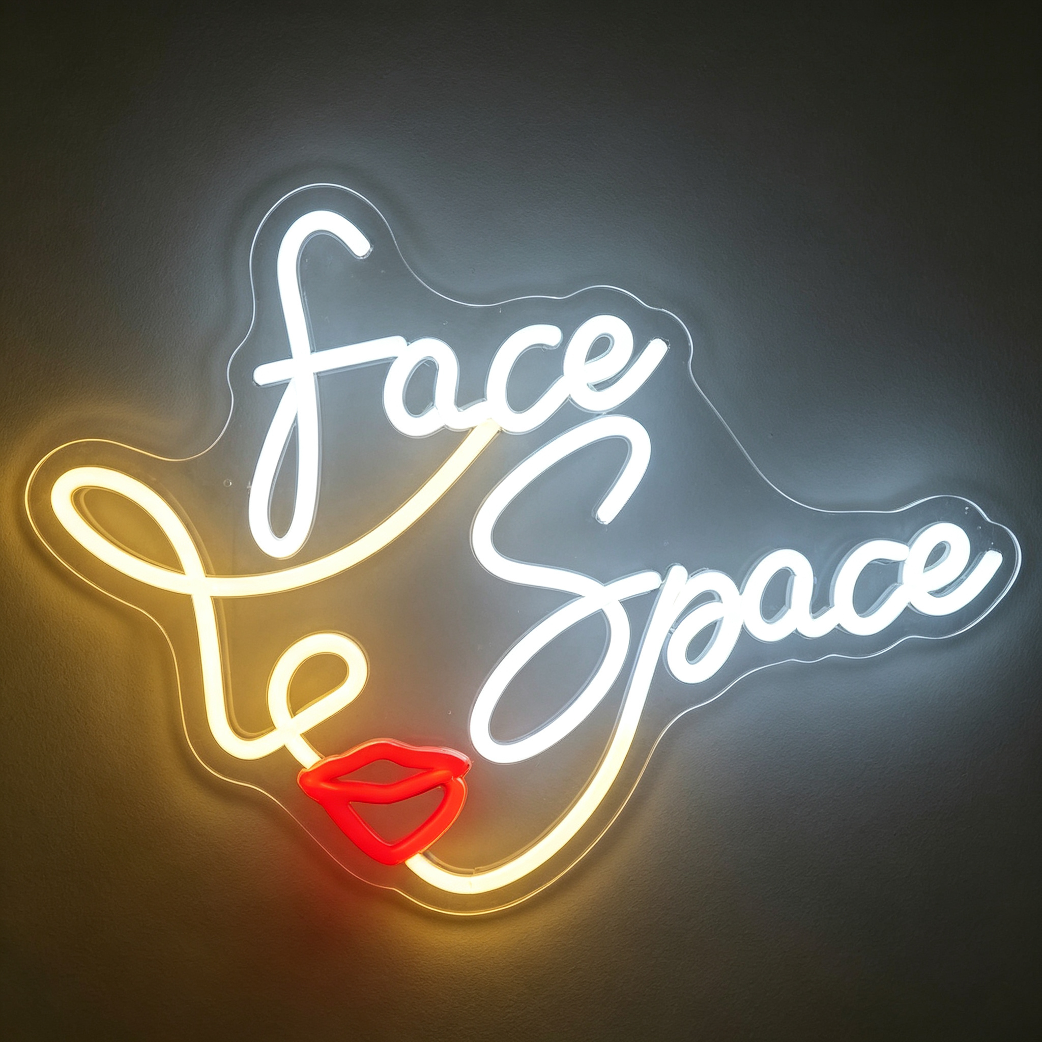 Face Space with Lip Accent LED Neon Sign